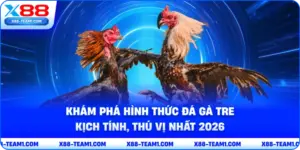 kham-pha-hinh-thuc-da-ga-tre-kich-tinh-thu-vi-nhat-2026