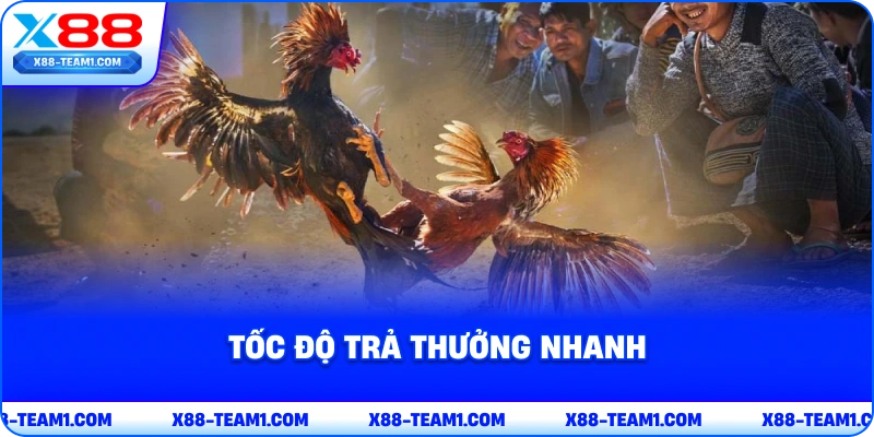 toc-do-tra-thuong-nhanh